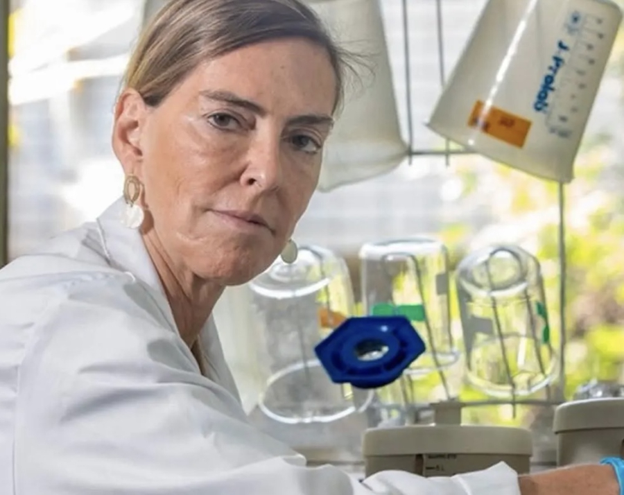 Jovem é o quinto paciente a apresentar movimentos após tratamento experimental com polilaminina de Dra Tatiana Sampaio