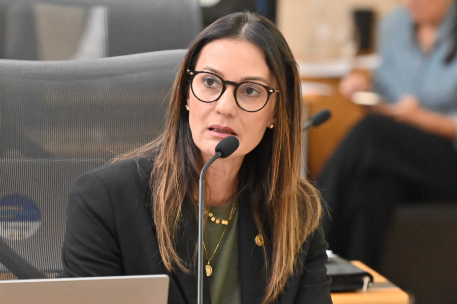 Lei da deputada Cristiane Dantas que protege animais é sancionada pelo Governo