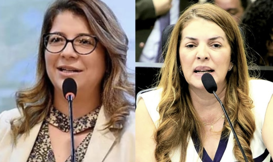 Carla Disckon se desculpa após acusar Nina de forma leviana, políticos e eleitores se revoltam contra deputada